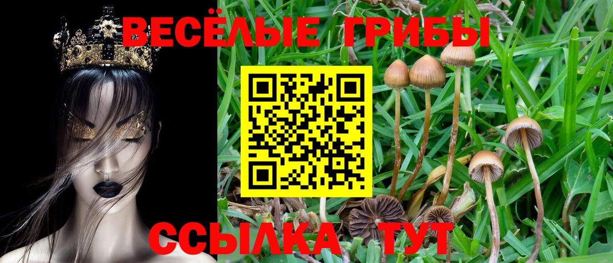 Галлюциногенные грибы прущие грибы  Вход с VPN  Пыть-Ях  Галлюциногенные грибы мухоморы 