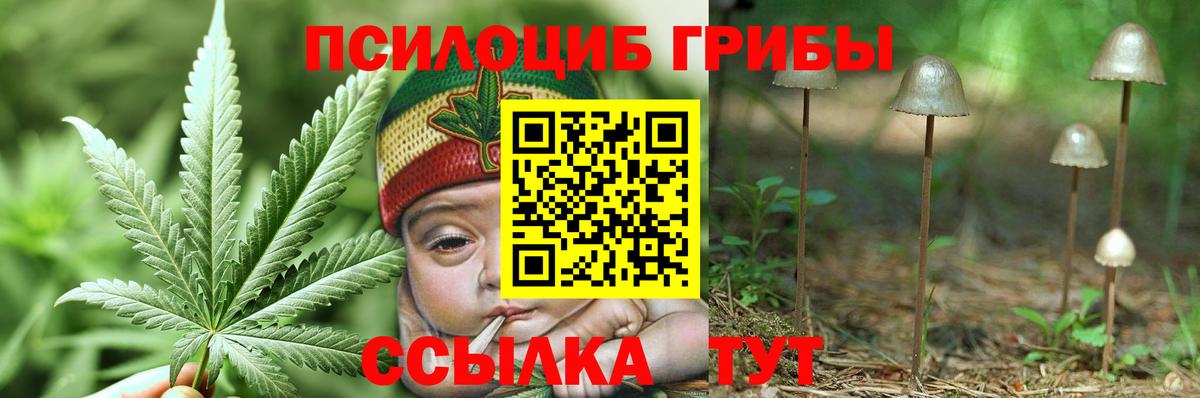 Псилоцибиновые грибы MAGIC MUSHROOMS Пыть-Ях