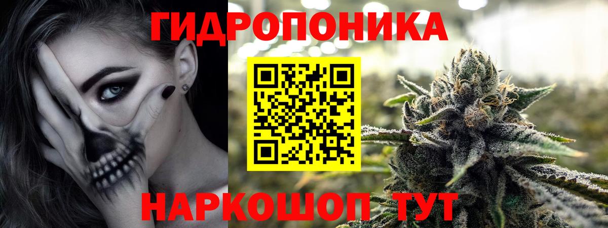 Каннабис индика Пыть-Ях